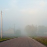 Where The Fog Begins